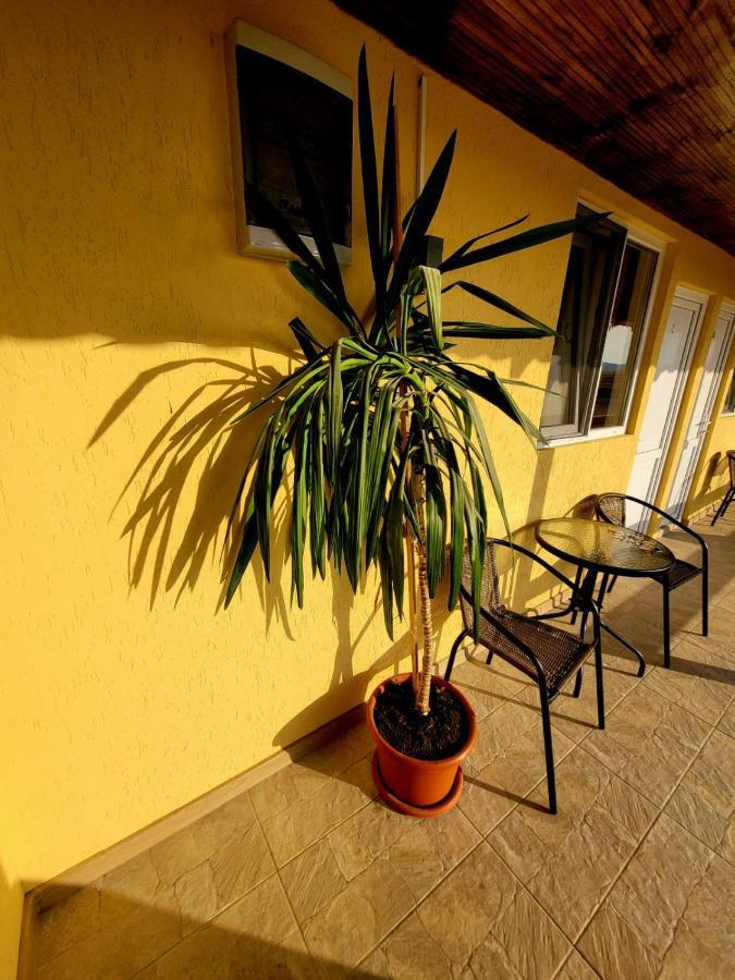 Cabana Varad Coronini Moldova Veche المظهر الخارجي الصورة